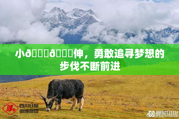 小🐔🐔伸，勇敢追寻梦想的步伐不断前进