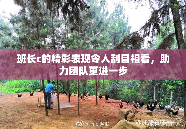 班长c的精彩表现令人刮目相看，助力团队更进一步