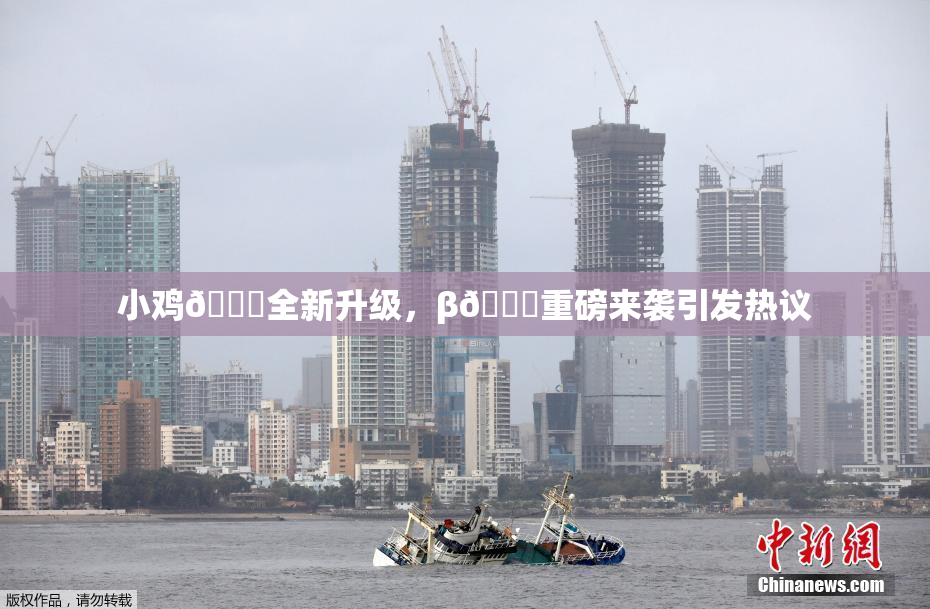 小鸡🐔全新升级，β🔞重磅来袭引发热议