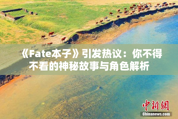 《Fate本子》引发热议：你不得不看的神秘故事与角色解析