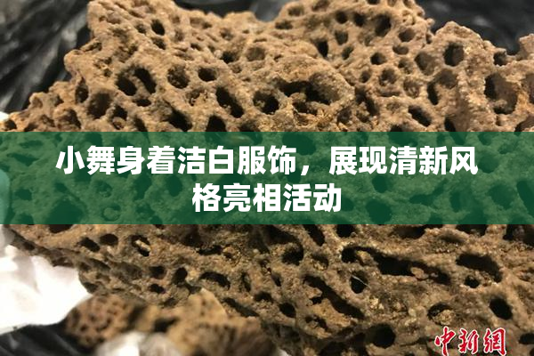 小舞身着洁白服饰，展现清新风格亮相活动