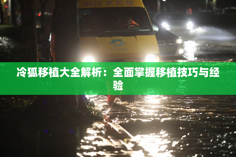 冷狐移植大全解析：全面掌握移植技巧与经验