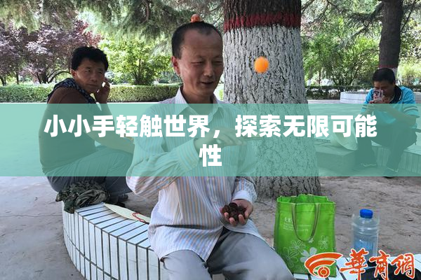 小小手轻触世界，探索无限可能性