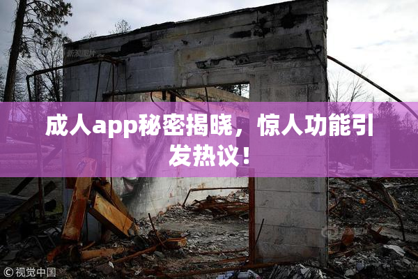 成人app秘密揭晓，惊人功能引发热议！