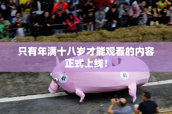 只有年满十八岁才能观看的内容正式上线！