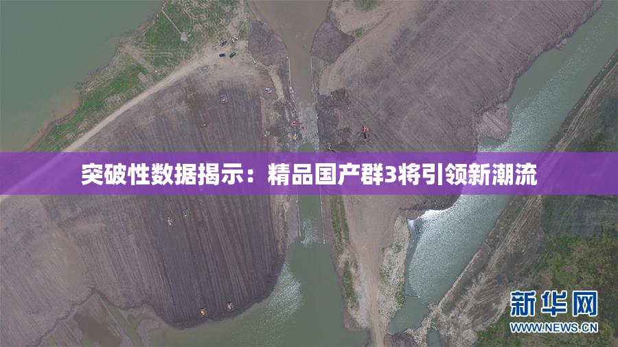突破性数据揭示：精品国产群3将引领新潮流