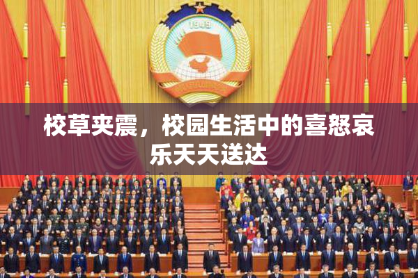 校草夹震，校园生活中的喜怒哀乐天天送达