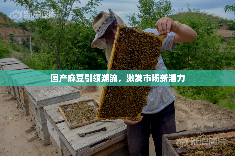 国产麻豆引领潮流，激发市场新活力