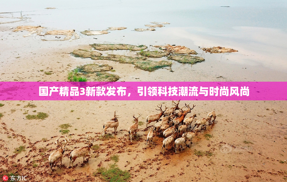 国产精品3新款发布，引领科技潮流与时尚风尚