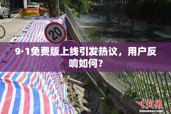 9·1免费版上线引发热议，用户反响如何？