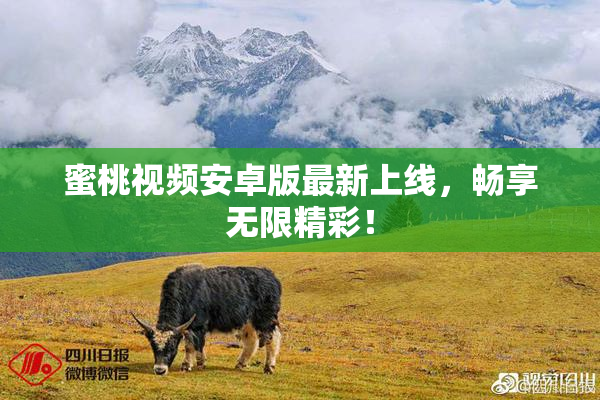 蜜桃视频安卓版最新上线，畅享无限精彩！