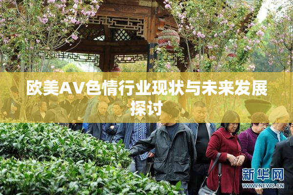 欧美AV色情行业现状与未来发展探讨