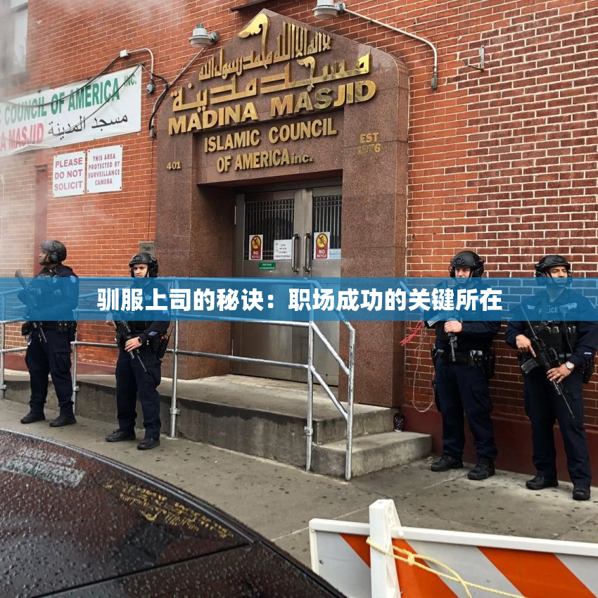 驯服上司的秘诀：职场成功的关键所在