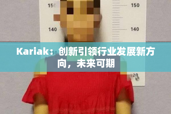 Kariak：创新引领行业发展新方向，未来可期