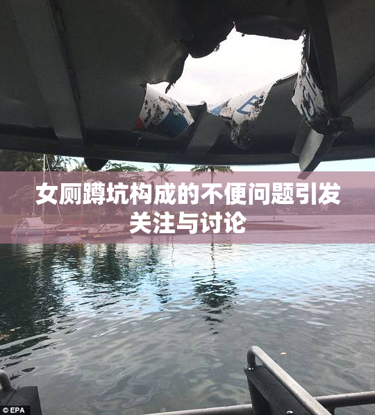 女厕蹲坑构成的不便问题引发关注与讨论