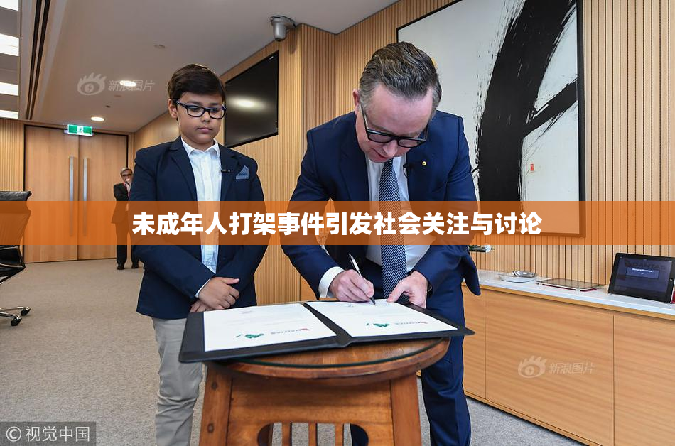 未成年人打架事件引发社会关注与讨论