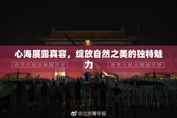 心海展露真容，绽放自然之美的独特魅力
