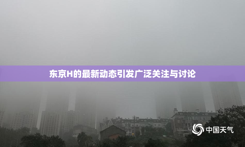 东京H的最新动态引发广泛关注与讨论