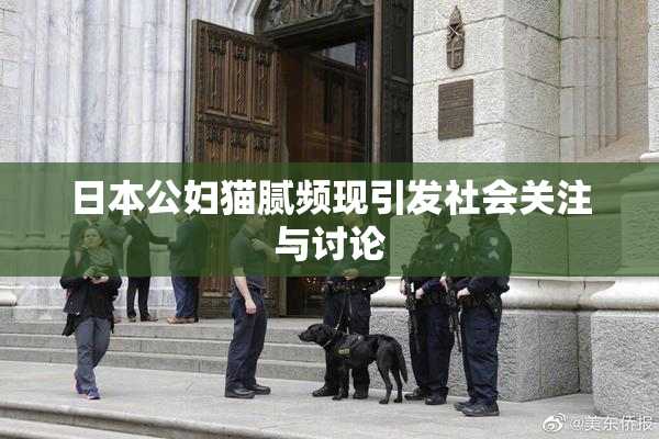 日本公妇猫腻频现引发社会关注与讨论