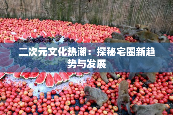 二次元文化热潮：探秘宅圈新趋势与发展