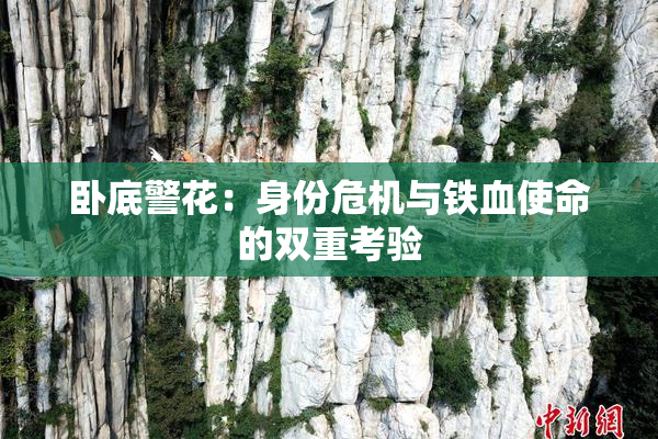 卧底警花：身份危机与铁血使命的双重考验