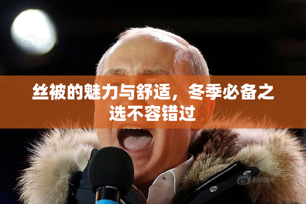 丝被的魅力与舒适，冬季必备之选不容错过