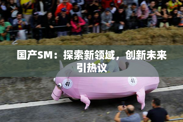 国产SM：探索新领域，创新未来引热议