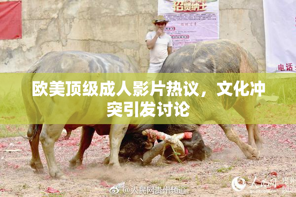 欧美顶级成人影片热议，文化冲突引发讨论