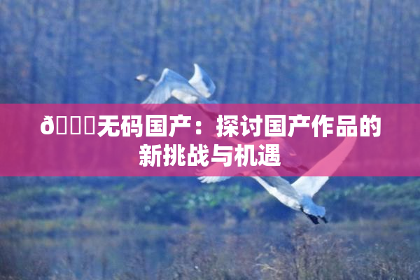 🔞无码国产：探讨国产作品的新挑战与机遇