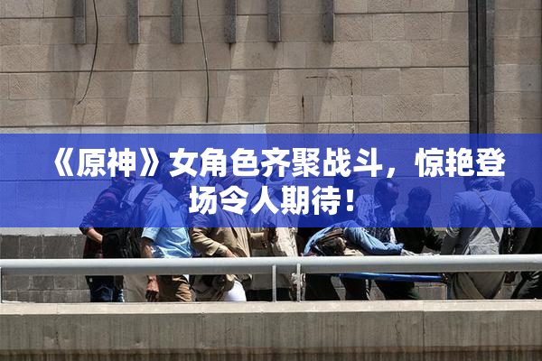 《原神》女角色齐聚战斗，惊艳登场令人期待！
