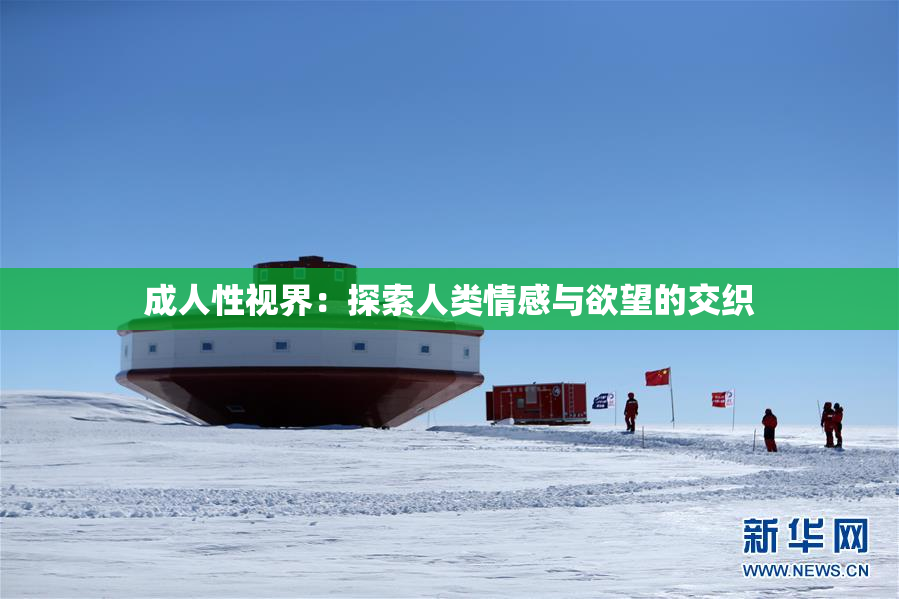 成人性视界：探索人类情感与欲望的交织