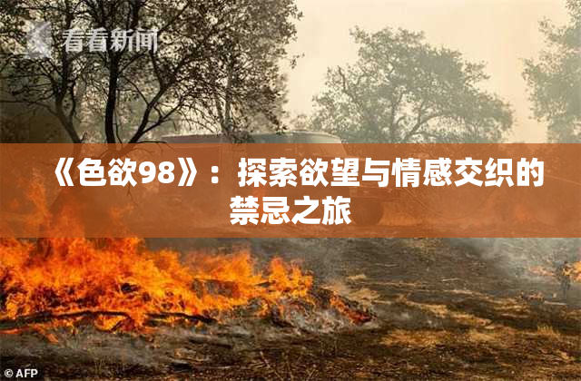 《色欲98》：探索欲望与情感交织的禁忌之旅