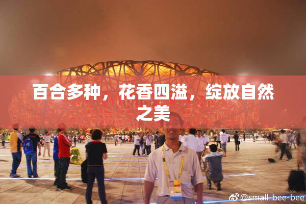 百合多种，花香四溢，绽放自然之美