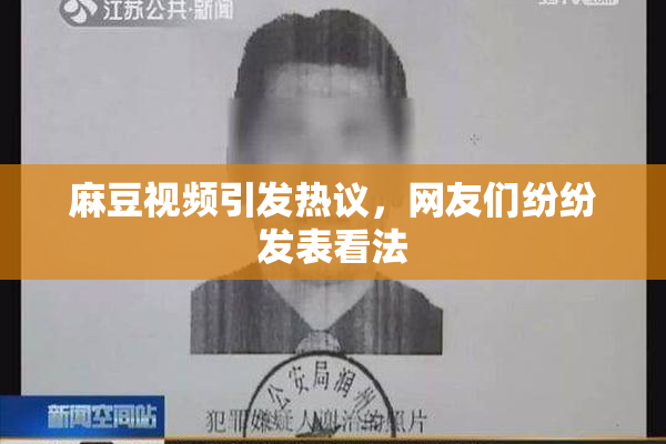 麻豆视频引发热议，网友们纷纷发表看法