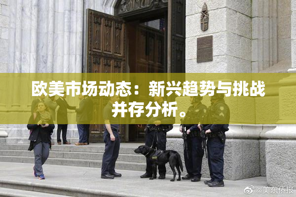 欧美市场动态：新兴趋势与挑战并存分析。