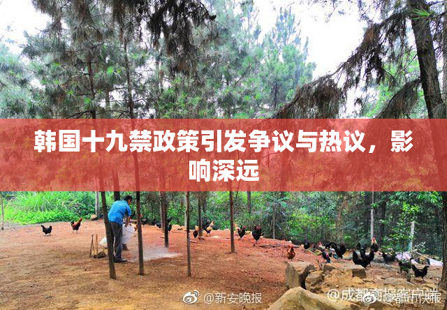 韩国十九禁政策引发争议与热议，影响深远