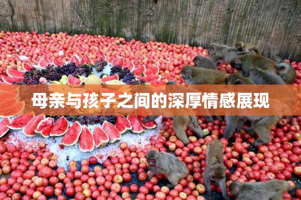 母亲与孩子之间的深厚情感展现