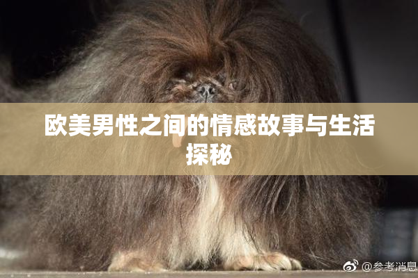 欧美男性之间的情感故事与生活探秘