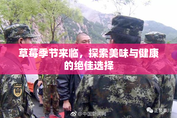 草莓季节来临，探索美味与健康的绝佳选择