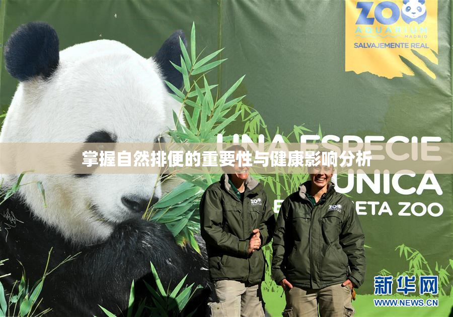 掌握自然排便的重要性与健康影响分析