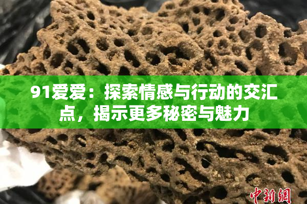 91爱爱：探索情感与行动的交汇点，揭示更多秘密与魅力