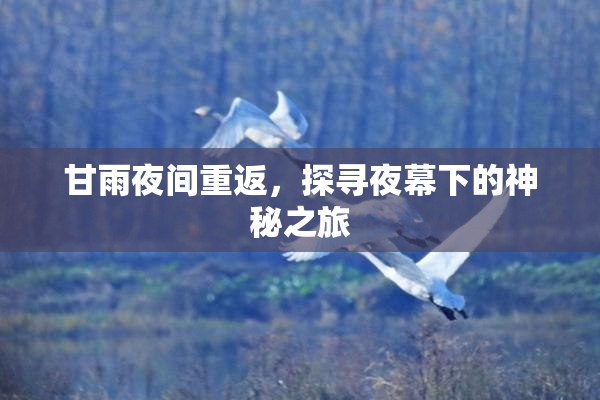 甘雨夜间重返，探寻夜幕下的神秘之旅