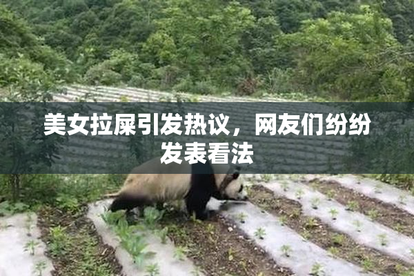 美女拉屎引发热议，网友们纷纷发表看法
