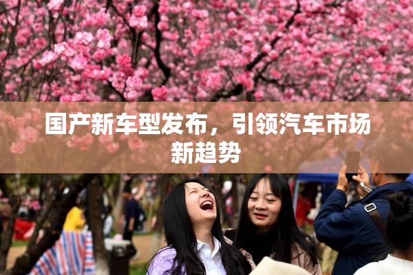 国产新车型发布，引领汽车市场新趋势