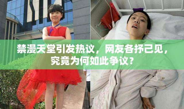 禁漫天堂引发热议，网友各抒己见，究竟为何如此争议？