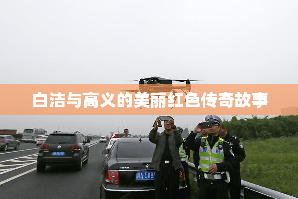 白洁与高义的美丽红色传奇故事