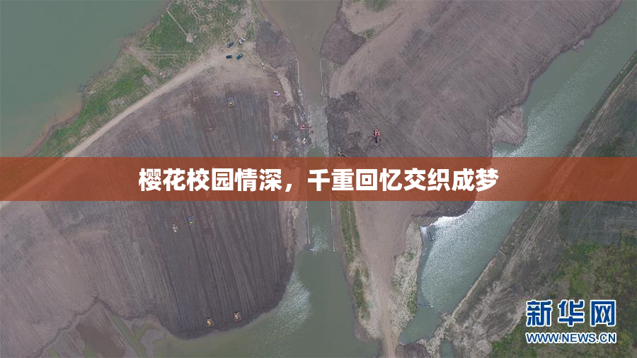 樱花校园情深，千重回忆交织成梦