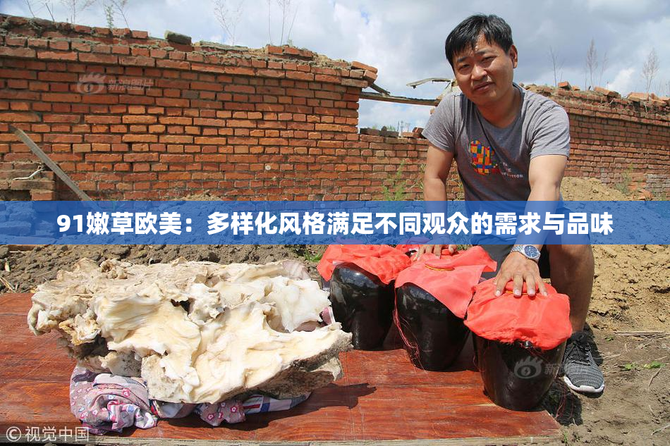 91嫩草欧美：多样化风格满足不同观众的需求与品味