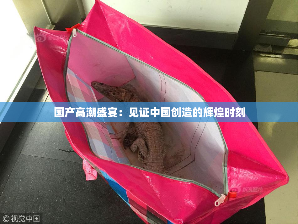 国产高潮盛宴：见证中国创造的辉煌时刻