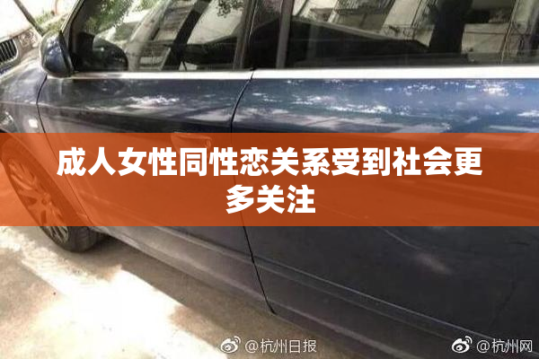 成人女性同性恋关系受到社会更多关注